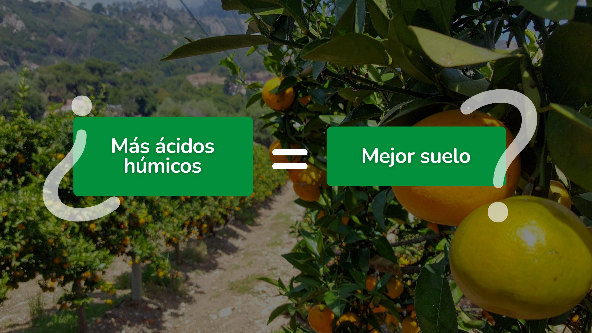 Efectos negativos de la aplicación excesiva de ácidos húmicos de leonardita en suelos arcillosos: una mirada desde el manejo sustentable y regenerativo