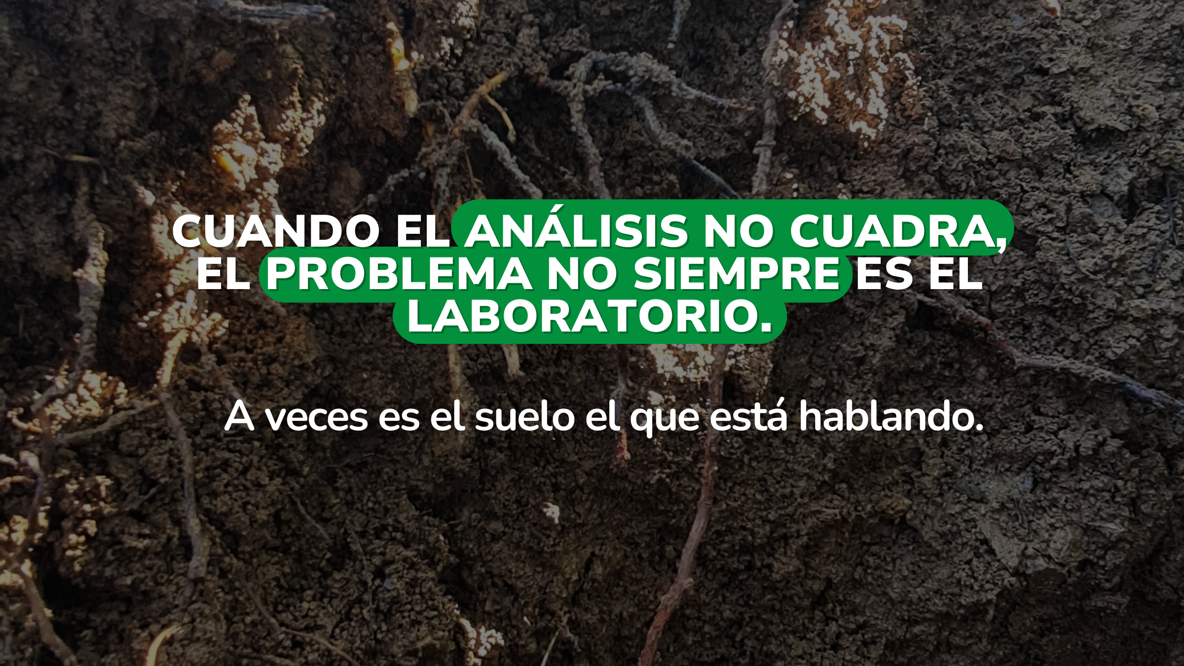Cuando el calcio intercambiable es más alto que la CIC: consideraciones técnicas para una correcta interpretación de la fertilidad en suelos con pH elevado y carbonatos