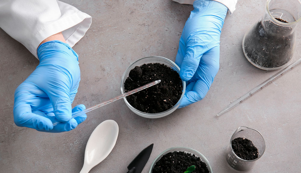 Cuando el calcio intercambiable es más alto que la CIC: consideraciones técnicas para una correcta interpretación de la fertilidad en suelos con pH elevado y carbonatos