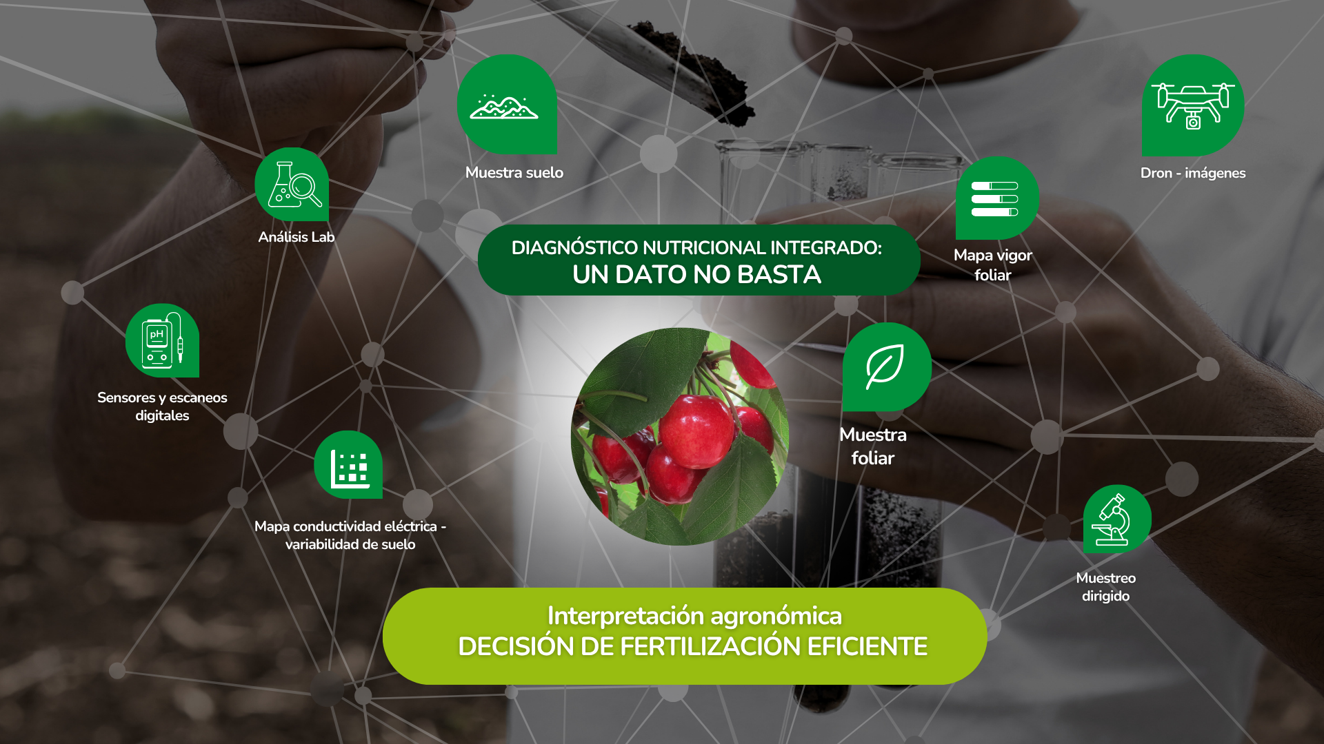 Análisis de suelo y foliar: claves para la nutrición de cultivos y huertos
