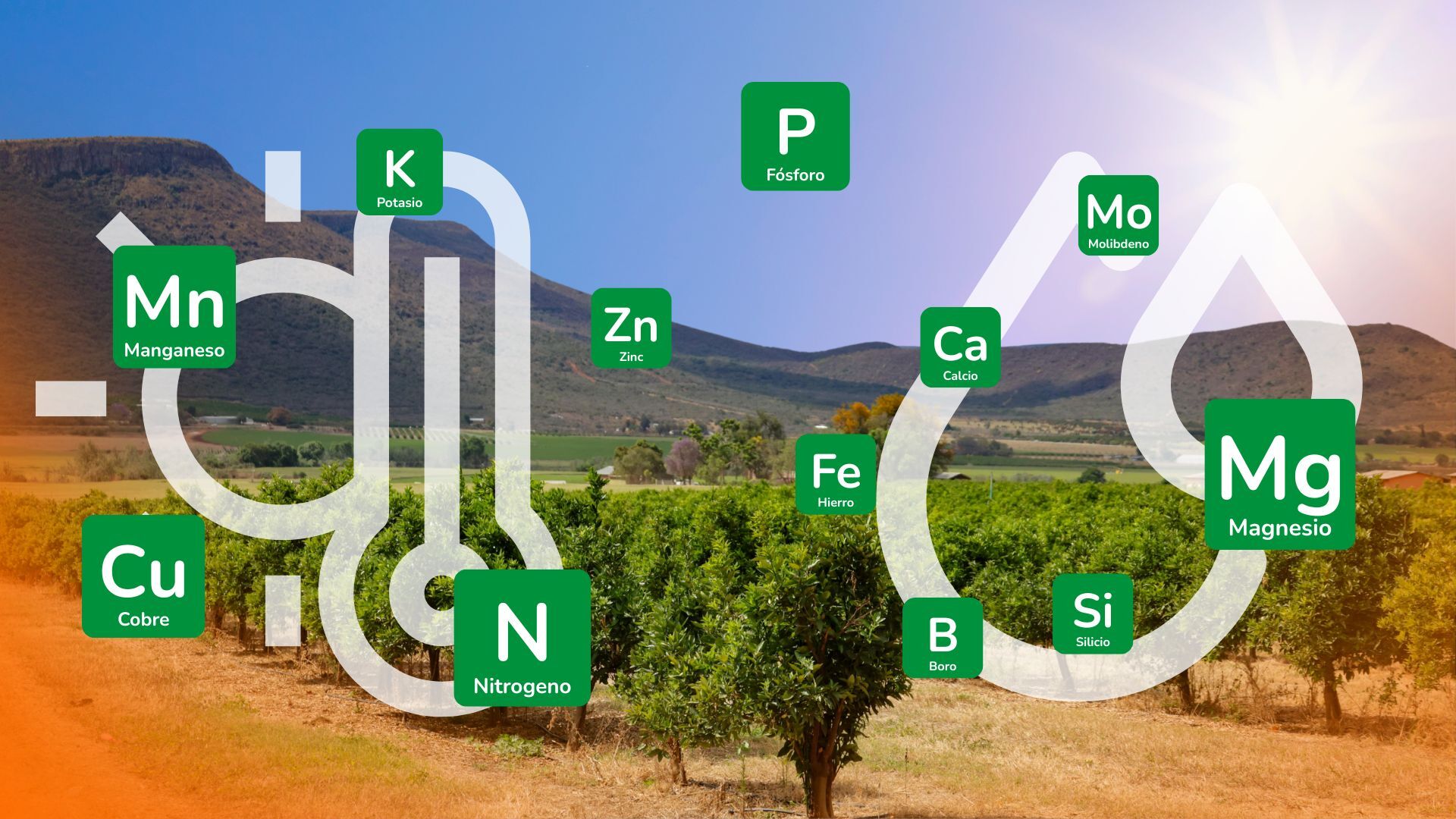 Relevancia de la nutrición y del monitoreo del estado nutricional del huerto bajo condiciones de alta temperatura y demanda hídrica atmosférica