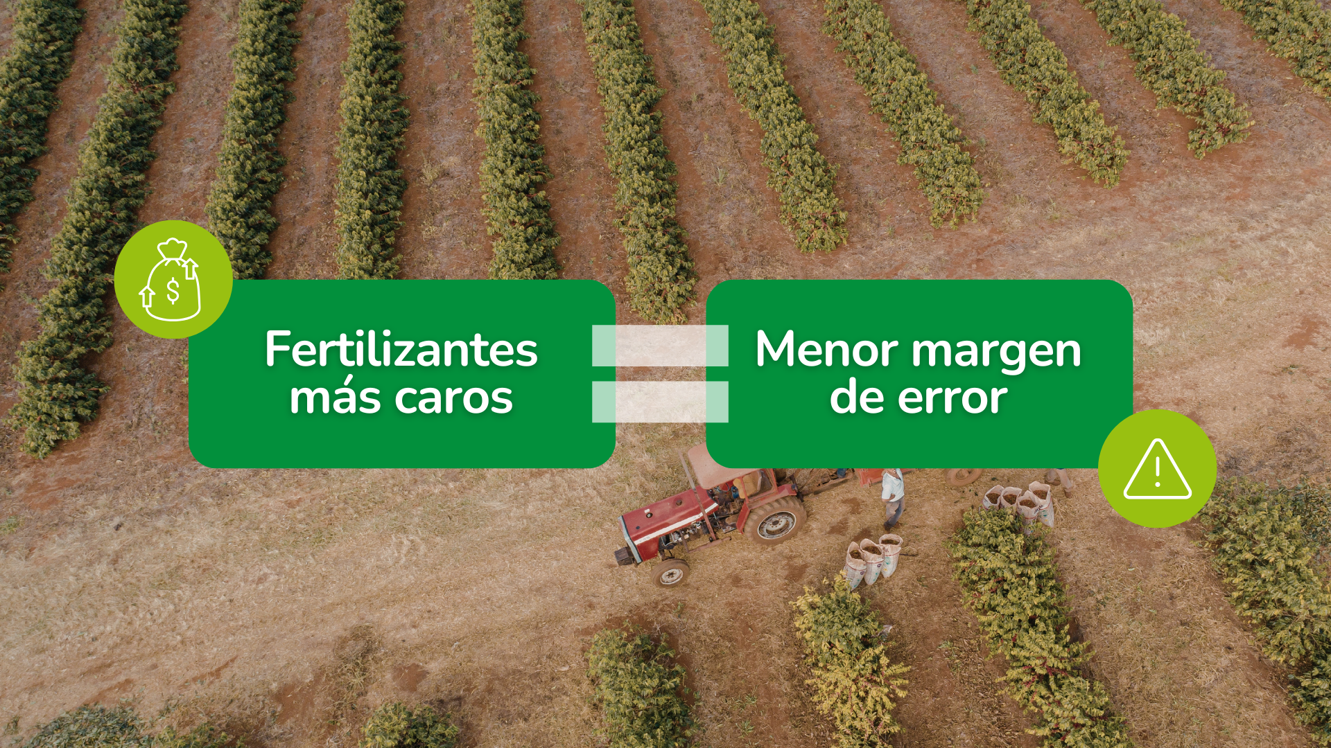 Monitoreo nutricional del huerto: la base para fertilizar con precisión en un escenario de aumento de costos de precio de fertilizantes