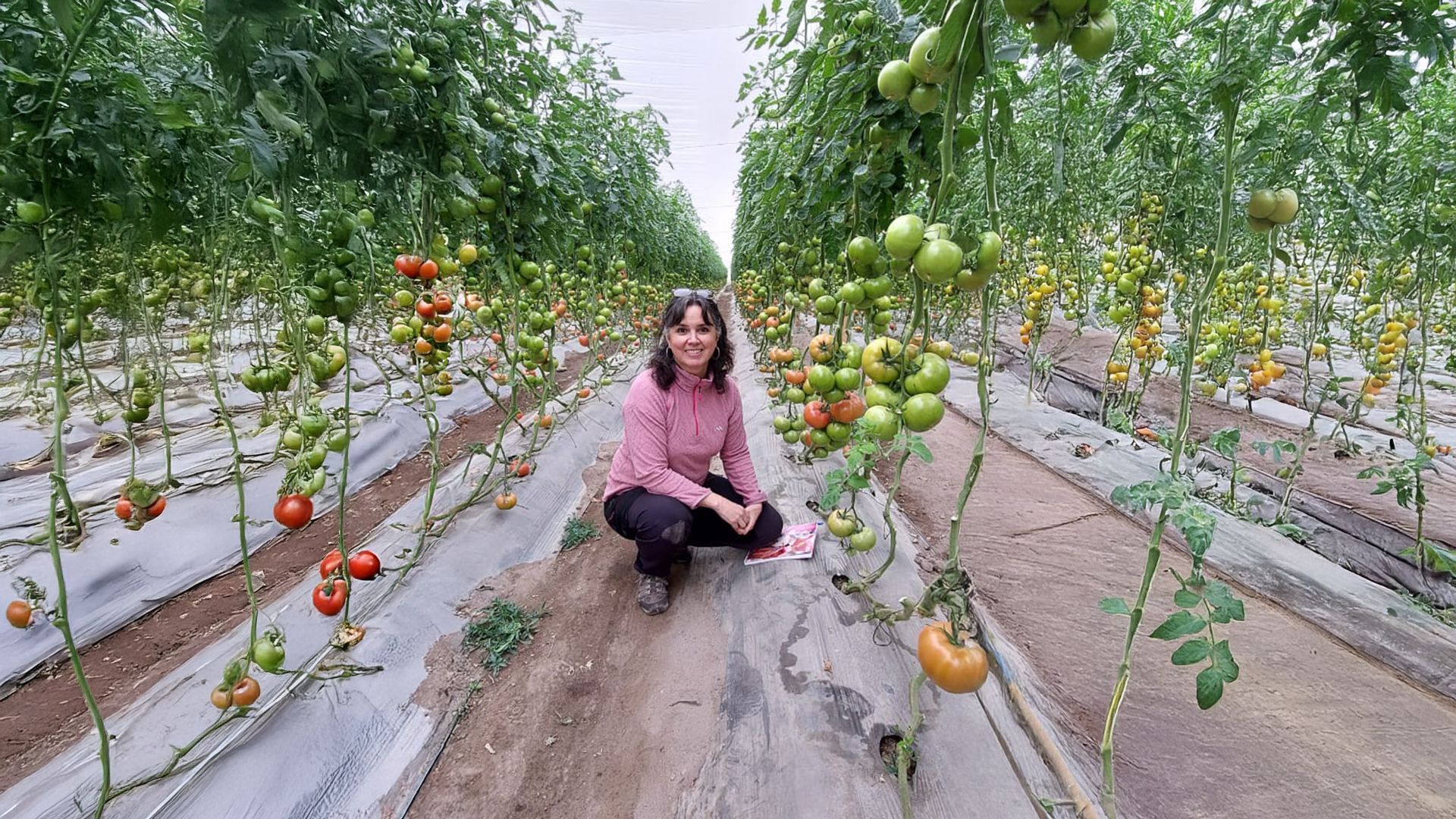 Entrevista a Yolanda Fernández Garay: “La certificación no debe ser vista como una carga, sino como una oportunidad para crecer en el agro”