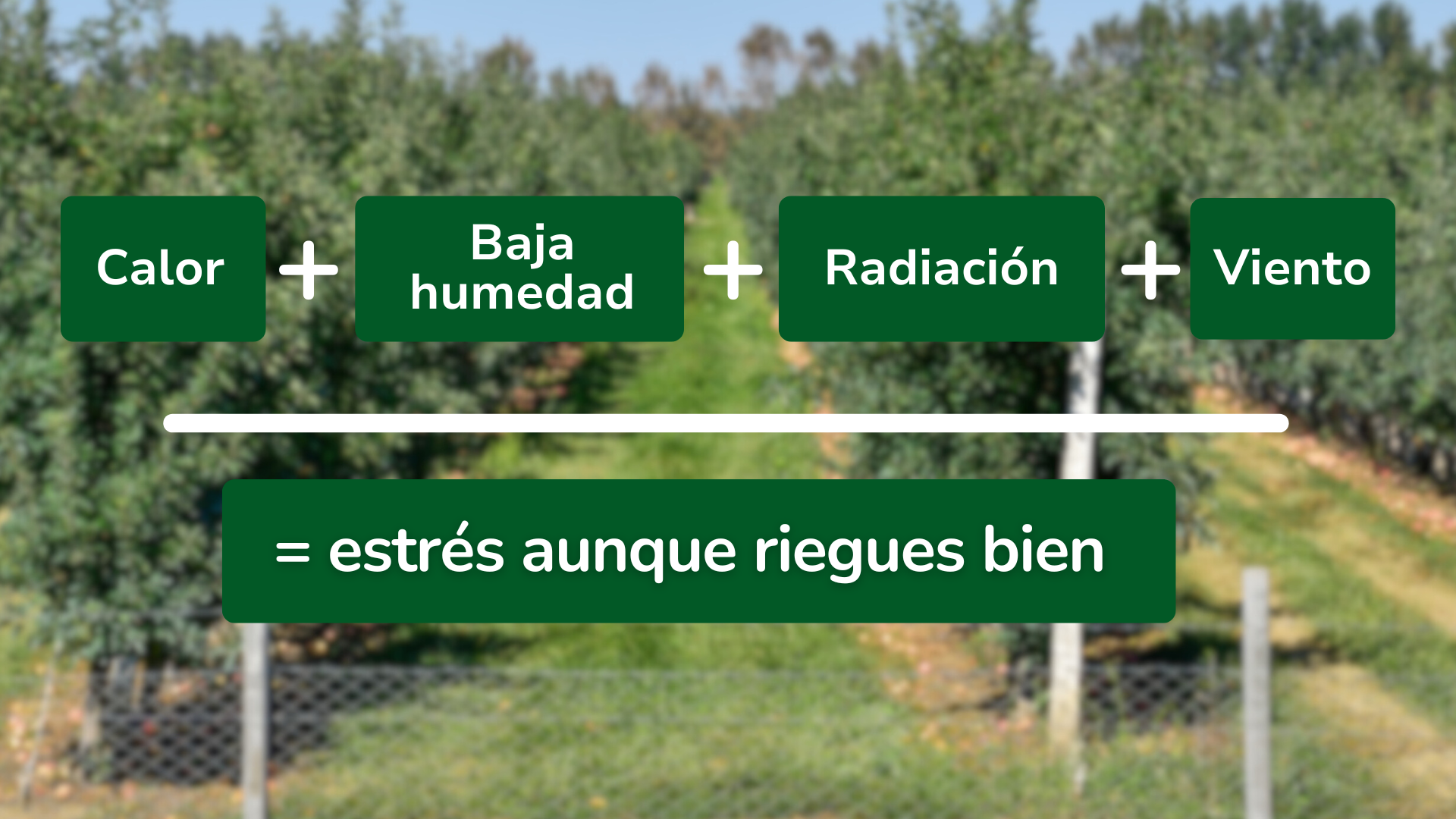 Cuando el “clima demanda más agua de la que la planta puede sostener”