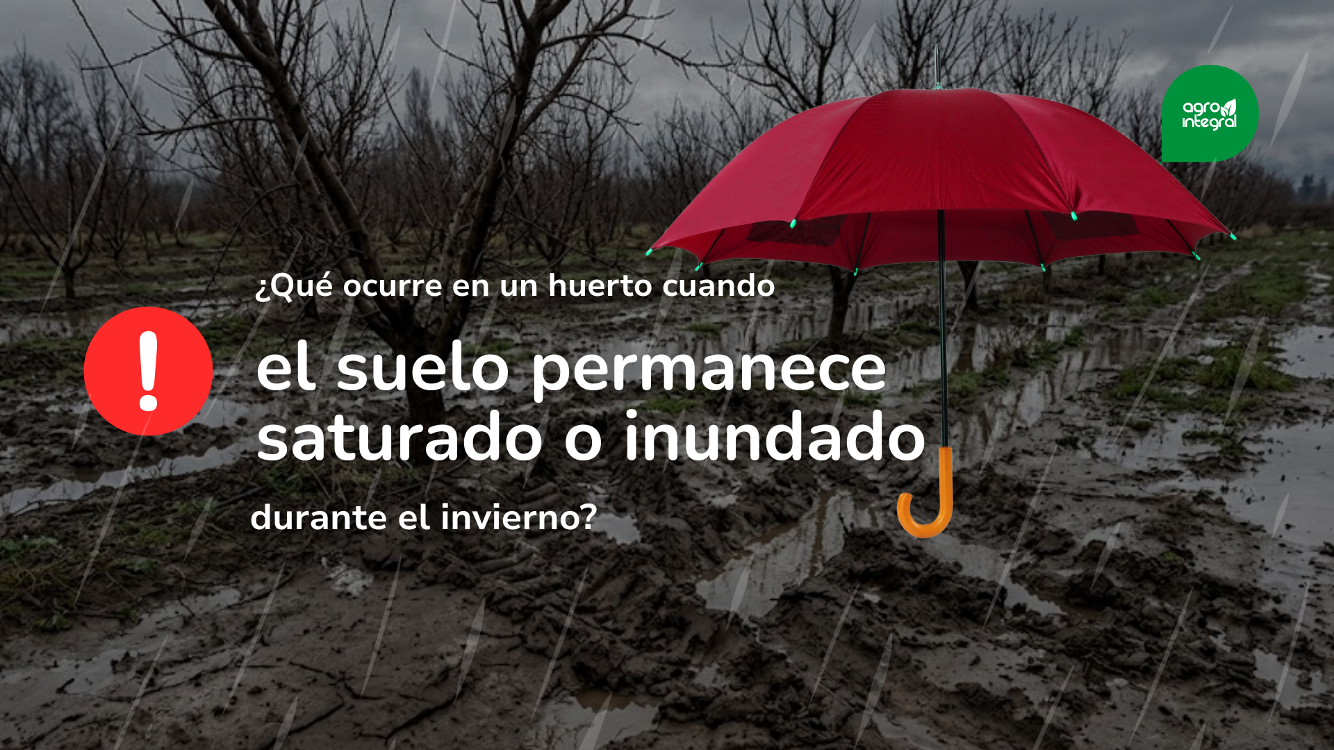 ¿Qué ocurre en un huerto cuando el suelo permanece saturado o inundado durante el invierno? Efectos sobre las propiedades físicas del suelo