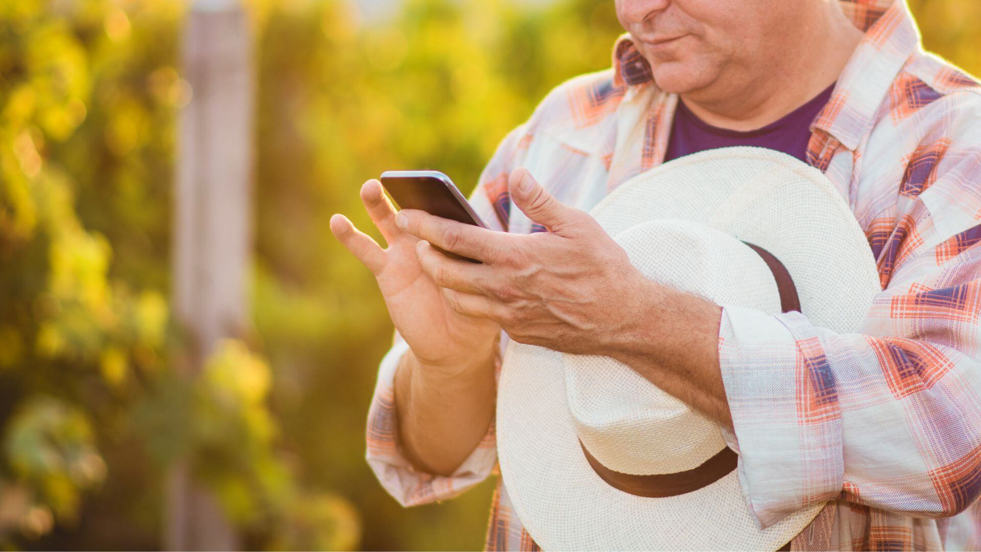Agrointegral lanza nuevo sitio web para acercar la ciencia agronómica al agricultor chileno