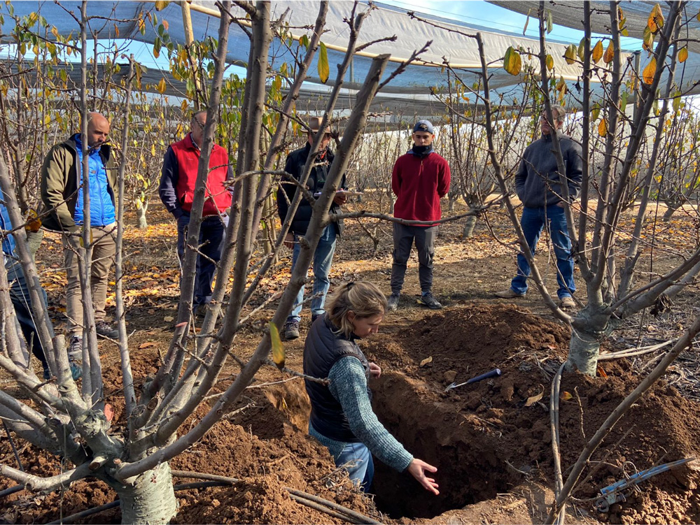 Optimiza tu producción agrícola con servicios profesionales de diagnóstico y toma de muestras