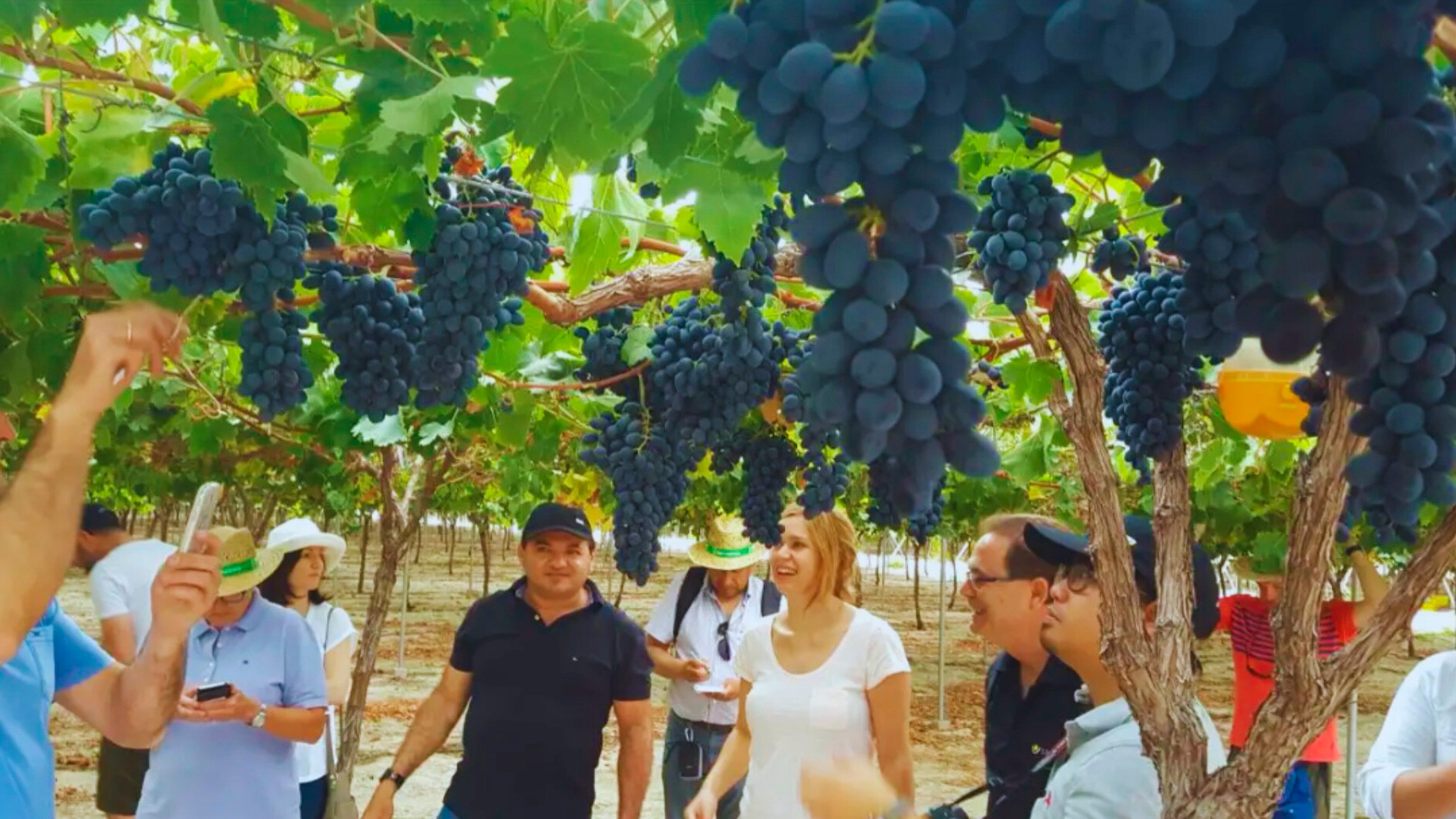 Agrointegral se une como sponsor oficial de Fundación GTT para fortalecer la transferencia tecnológica y la agricultura sustentable en Chile