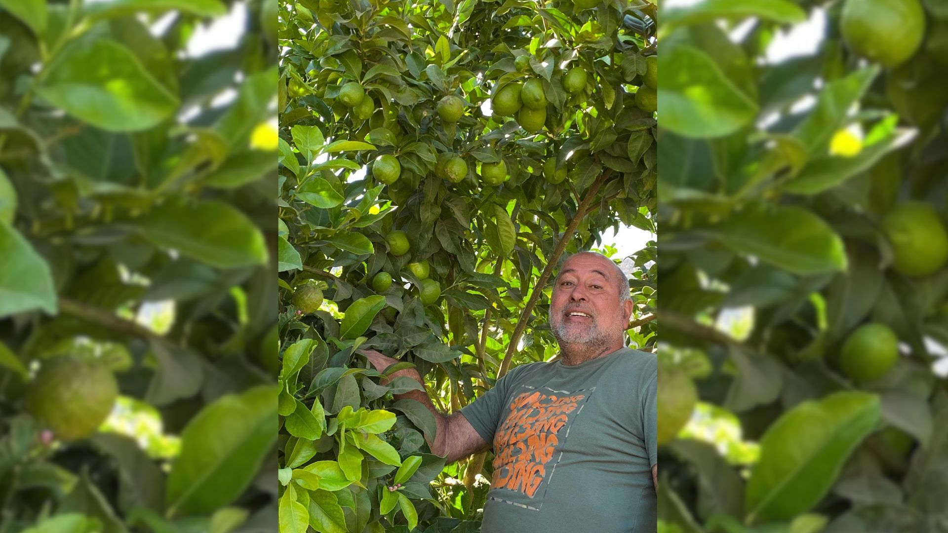 Entrevista: Seguimiento Nutricional y Manejo de Huertos en Fundo Lo Blanco